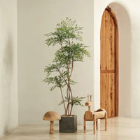 Bamboo Real-Trunk Artificial