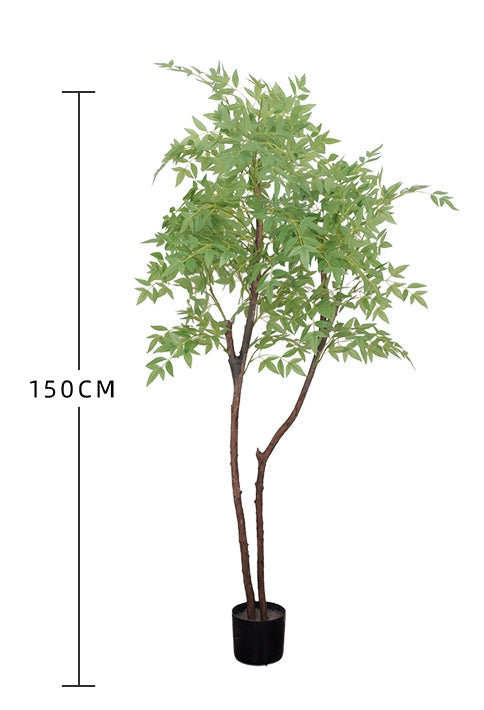 Nantian bamboo -  -  Tumbleweed Plants