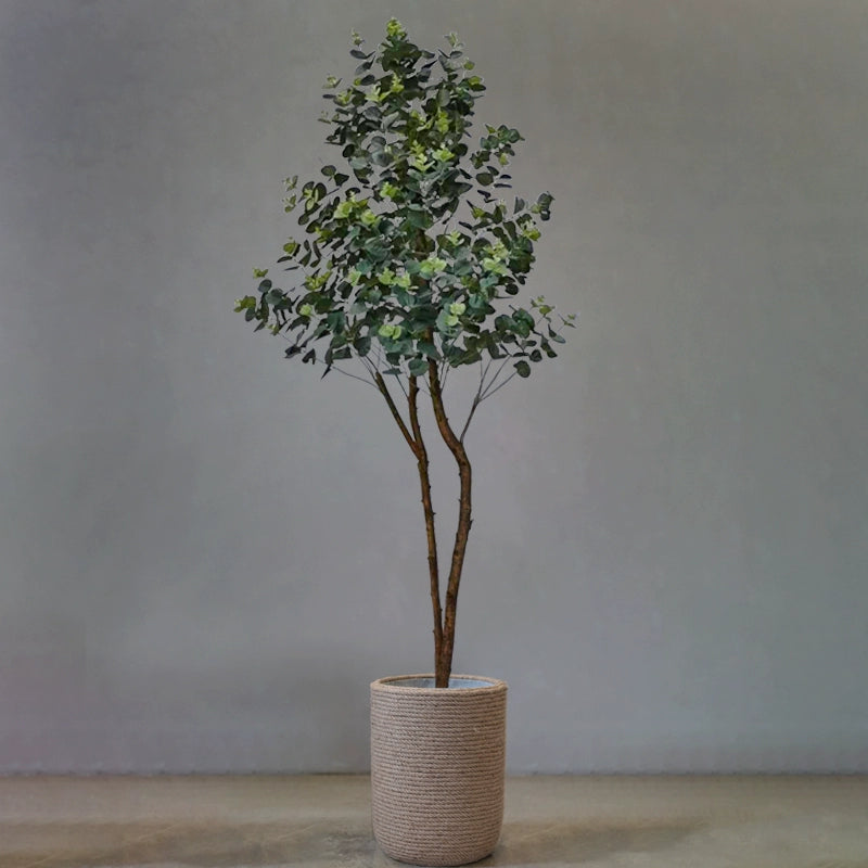 Eucalyptus Real-Trunk Artificial - Potted plant -  Tumbleweed Plants