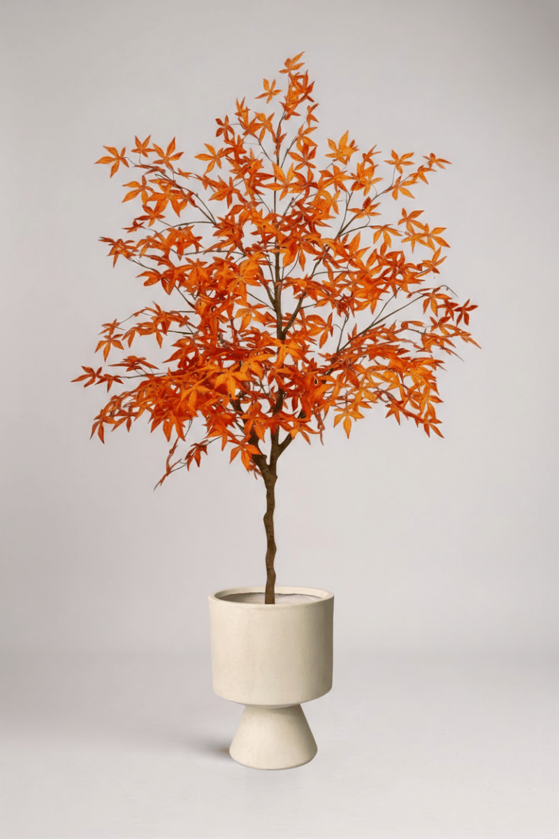 Maple Tree (Life - like Artificial) - Potted plant - 1838465397993508871 - 0 - Tumbleweed Plants - Online Plant Delivery Singapore