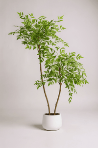 Southern Sky Bamboo (Life - like Artificial) - Potted plant - POTT - SOUT - GRW - 6853 - Tumbleweed Plants - Online Plant Delivery Singapore