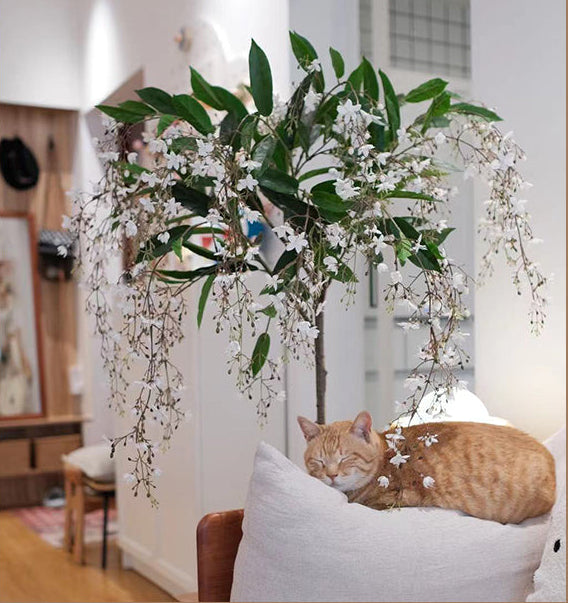 Silk Jasmine (Life-like Artificial) - Potted plant -  Tumbleweed Plants