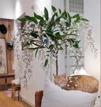 Silk Jasmine (Life-like Artificial) - Potted plant -  Tumbleweed Plants