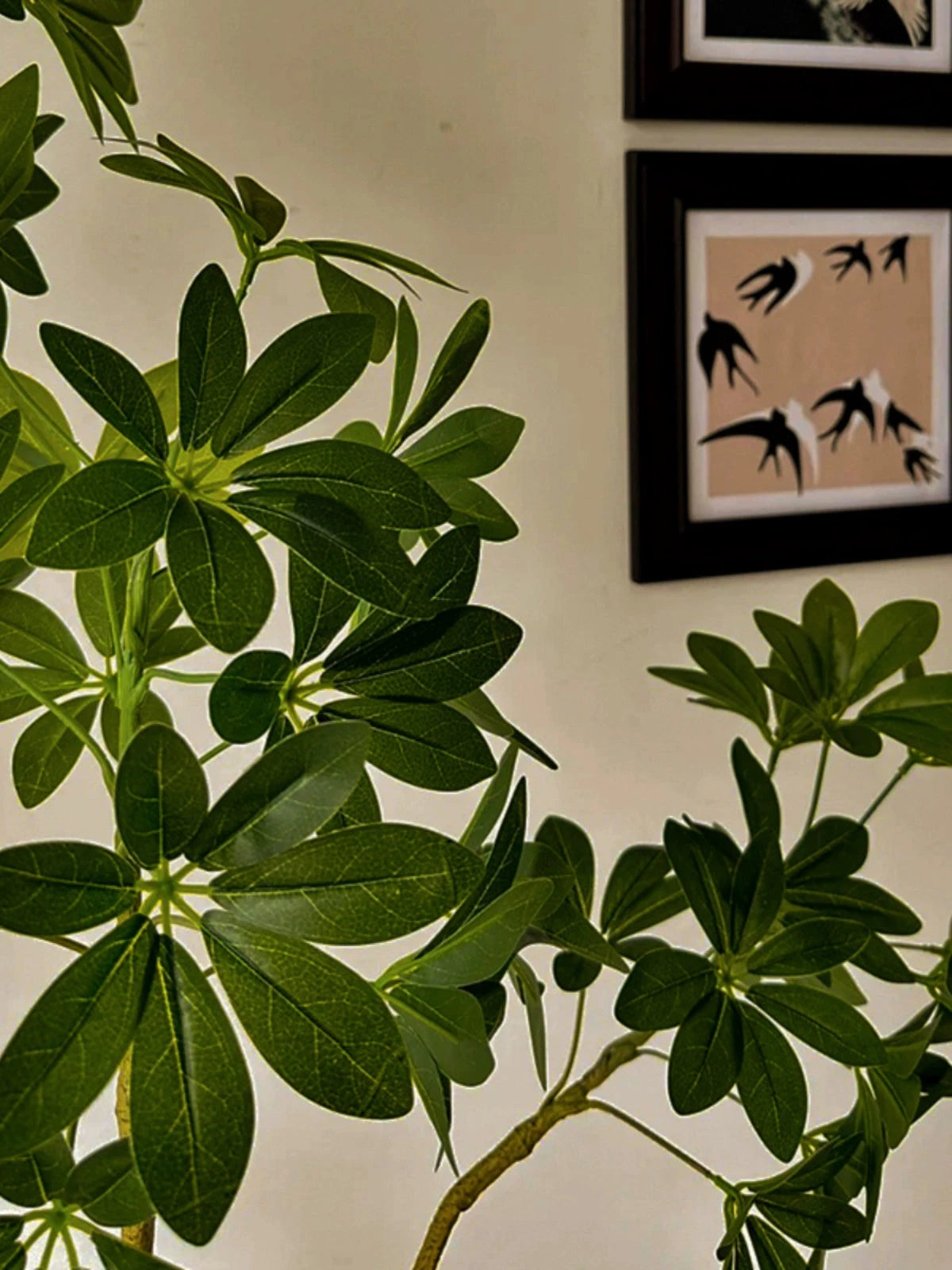 Dwarf Umbrella Tree (Life-like Artificial) -  -  Tumbleweed Plants
