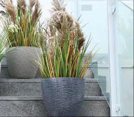 Cloudstone Classic Egg Planter - XL - Planter - 5111265910151 - Tumbleweed Plants - Online Plant Delivery Singapore