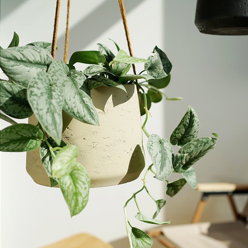 Hanging Nook Pot - Large - Planter - 4950246450148 - Tumbleweed Plants - Online Plant Delivery Singapore