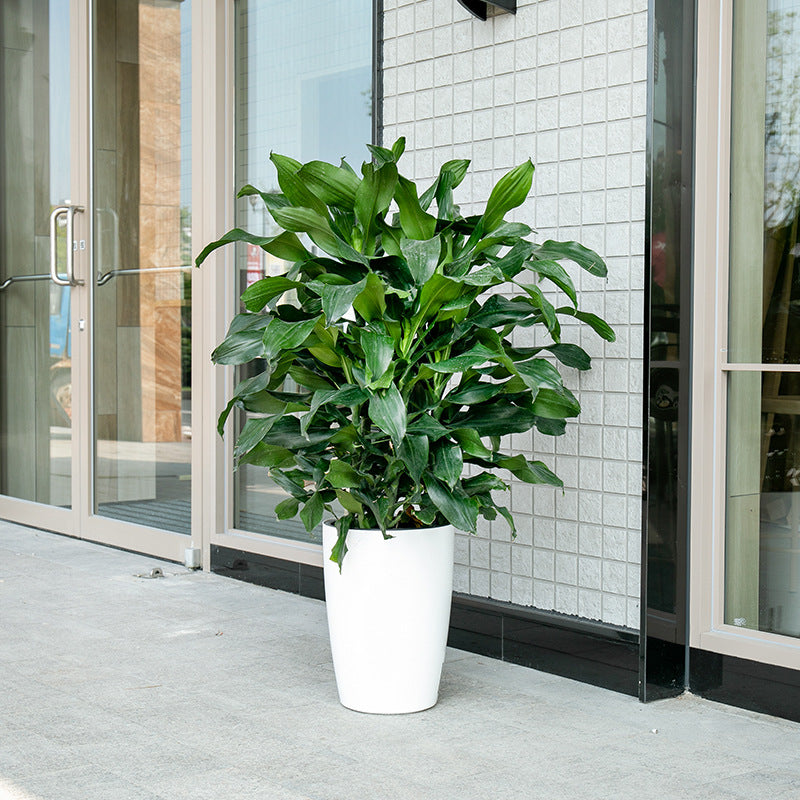 tall self watering planter HydroEase Tall Self-Watering Planter - L