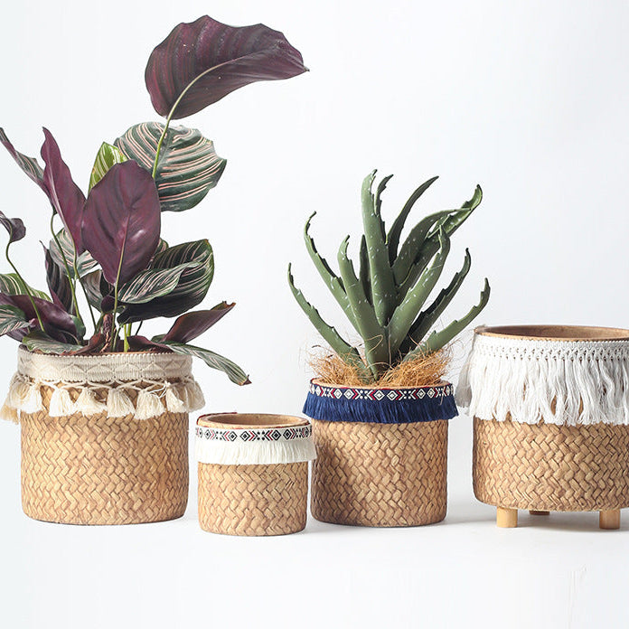 small basket plant pots Ceramic Woven Basket Planter - Small