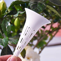 SoilMate Air Cup -  -  Tumbleweed Plants