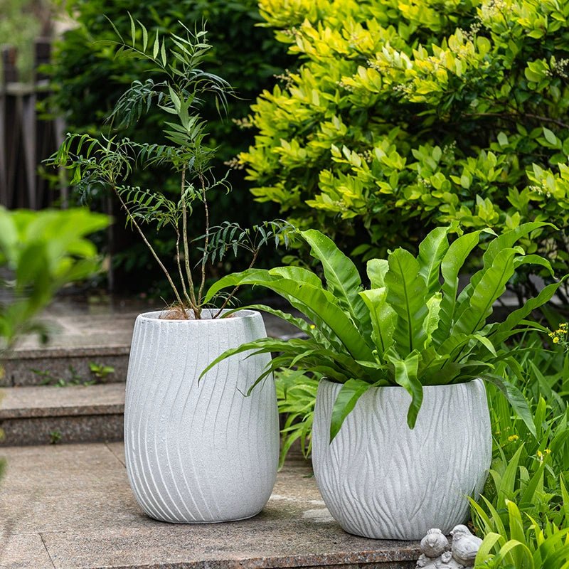 XL Wave Pot - Planter - PLAN-STRI-CMNCM-7823 - Tumbleweed Plants - Online Plant Delivery Singapore