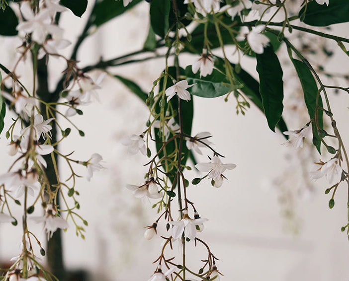 Silk Jasmine (Life-like Artificial) - Potted plant -  Tumbleweed Plants
