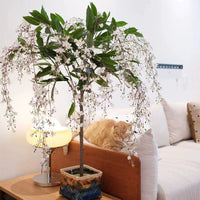 Silk Jasmine (Life-like Artificial) -  -  Tumbleweed Plants