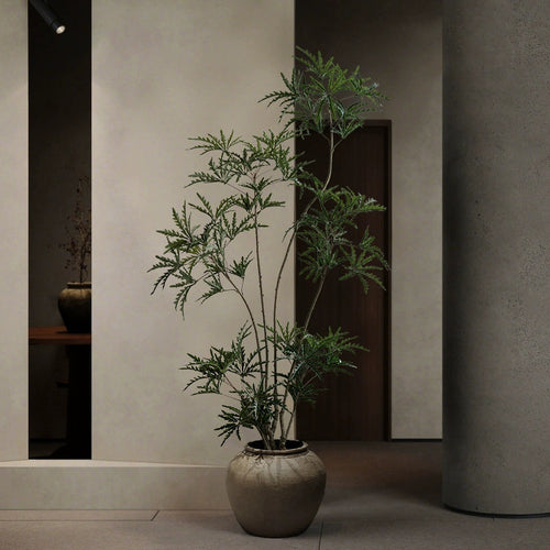 Simulated green plants indoor peacock wood bionic plant landscape fake tree high-end wabi-sabi floor potted plant decoration ornaments -  -  Tumbleweed Plants