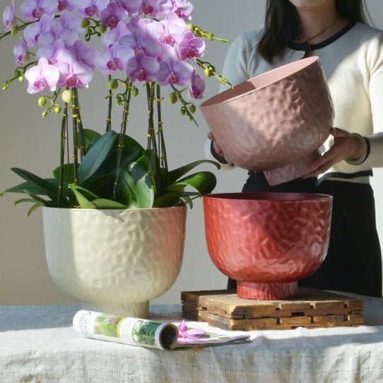 Luna Pearl Cloudstone Pot - Planter - 5960711876814 - Tumbleweed Plants - Online Plant Delivery Singapore