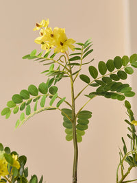 Golden Tree (Life-like Artificial) -  -  Tumbleweed Plants