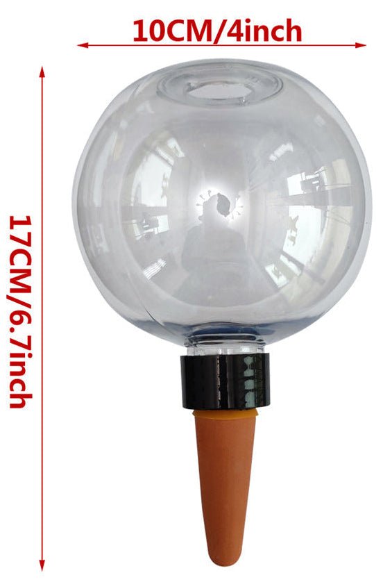 AquaSphere Automatic Self-Watering Globe - Garden Tools - 5455316195463 - Tumbleweed Plants - Online Plant Delivery Singapore