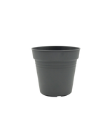 Essential Plastic Pot - Medium