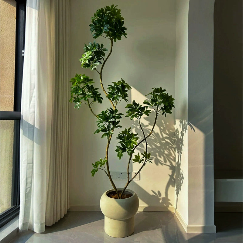 Dwarf Umbrella Tree (Life-like Artificial) -  -  Tumbleweed Plants