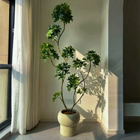 Dwarf Umbrella Tree (Life-like Artificial) -  -  Tumbleweed Plants
