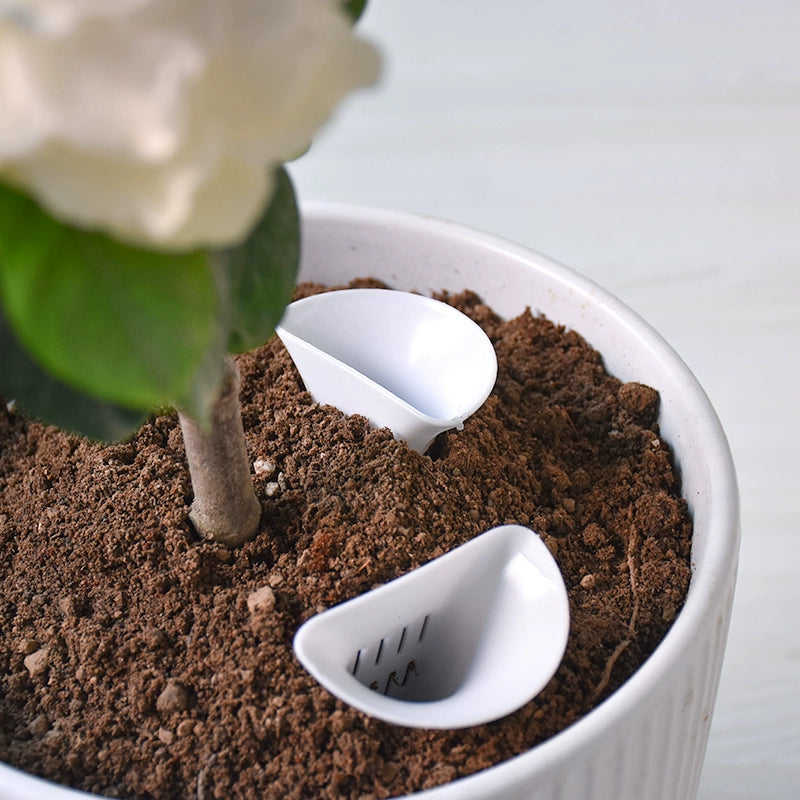 SoilMate Air Cup -  -  Tumbleweed Plants