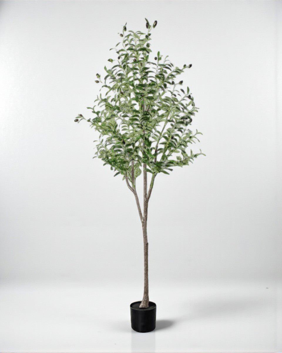 Olive Tree (Life - like Artificial) - Potted plant - bsv_5698595835875 - Tumbleweed Plants - Online Plant Delivery Singapore
