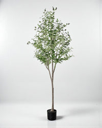 Olive Tree (Life - like Artificial) - Potted plant - bsv_5698595835875 - Tumbleweed Plants - Online Plant Delivery Singapore