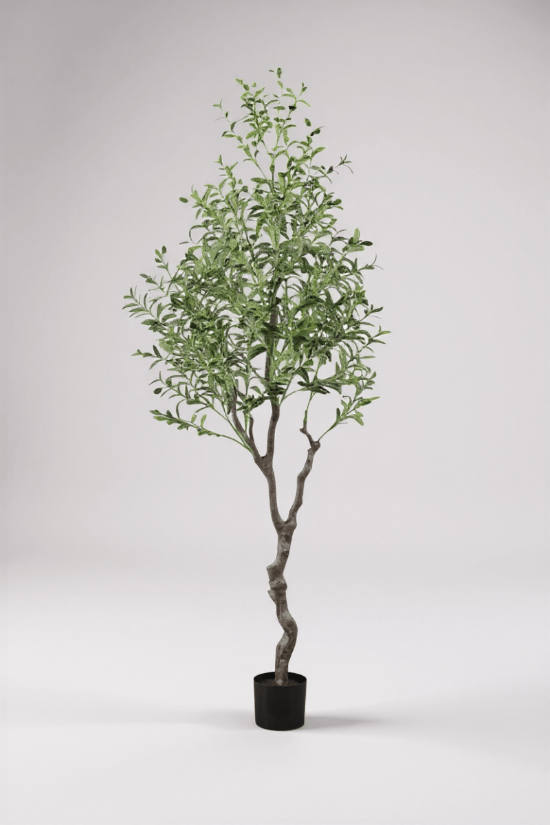 Olive Tree (Life - like Artificial) - Potted plant - bsv_5526140300167 - Tumbleweed Plants - Online Plant Delivery Singapore