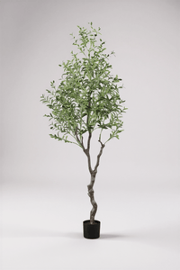 Olive Tree (Life - like Artificial) - Potted plant - bsv_5526140300167 - Tumbleweed Plants - Online Plant Delivery Singapore