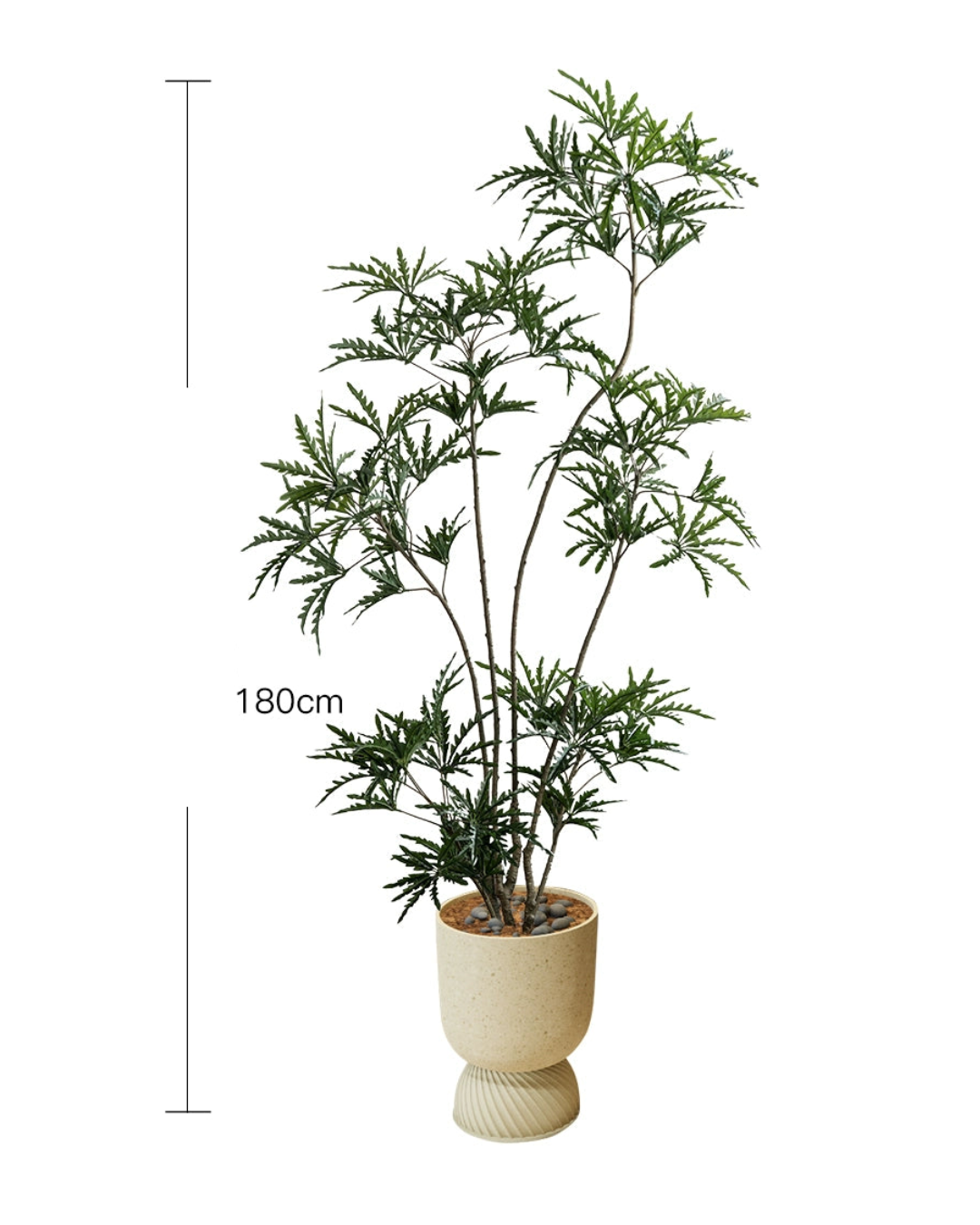 Peacock Plant (Life-like Artificial) - Potted plant -  Tumbleweed Plants