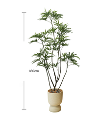Peacock Plant (Life-like Artificial) - Potted plant -  Tumbleweed Plants