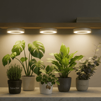 HALO Shelves Plant Lights - Plant Lights - 5469656512121 - Tumbleweed Plants - Online Plant Delivery Singapore