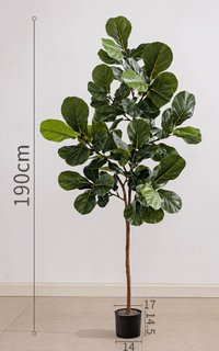 Fiddle - leaf Fig (Life - like Artificial) - Potted plant - POTT - FIDD - GRWM - 7476 - Tumbleweed Plants - Online Plant Delivery Singapore