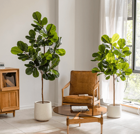 Fiddle - leaf Fig (Life - like Artificial) - Potted plant - POTT - FIDD - GRWM - 7476 - Tumbleweed Plants - Online Plant Delivery Singapore