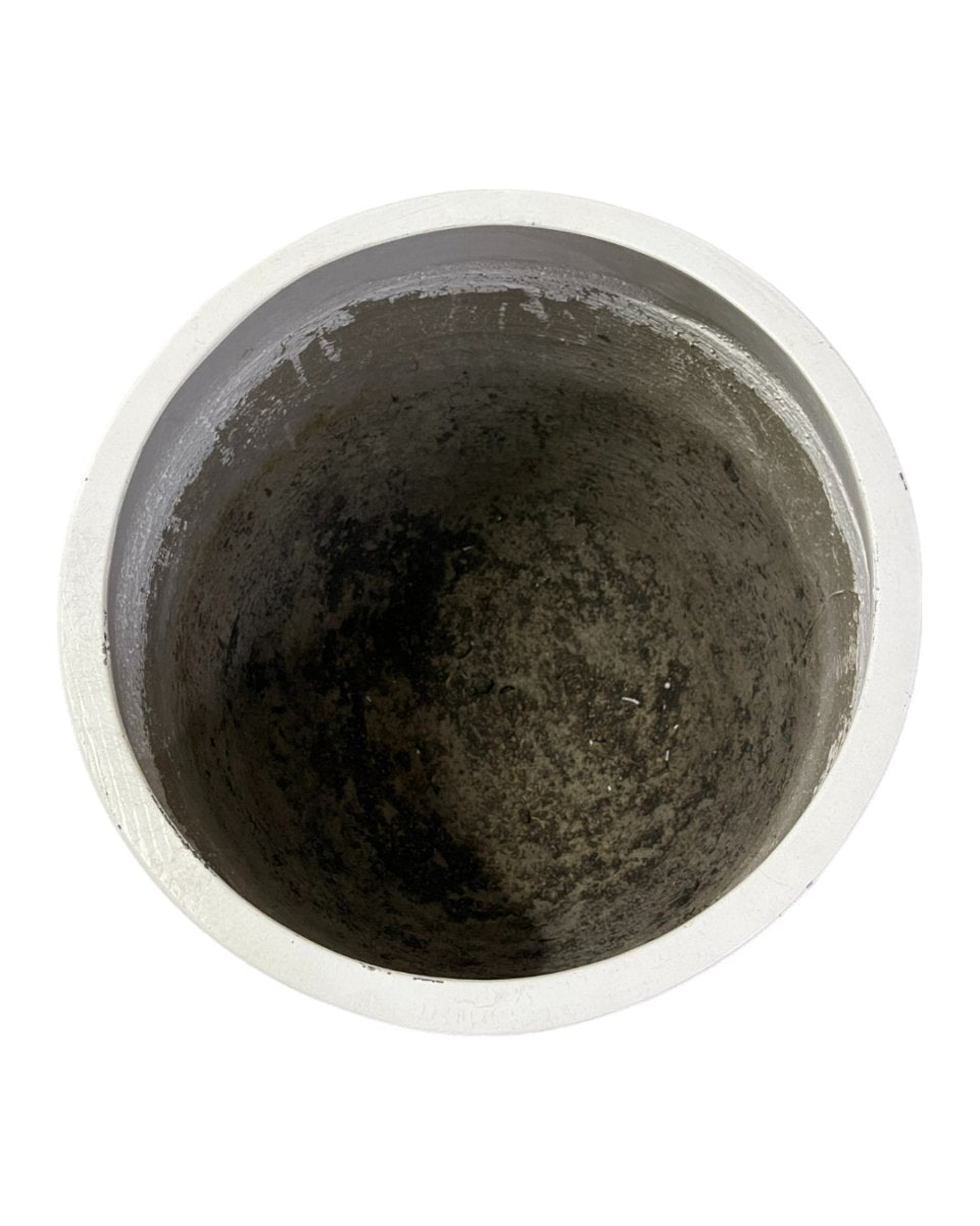 Second Chance: Mid Century Modern Pot - extra large - Pot - Tumbleweed Plants - Online Plant Delivery Singapore