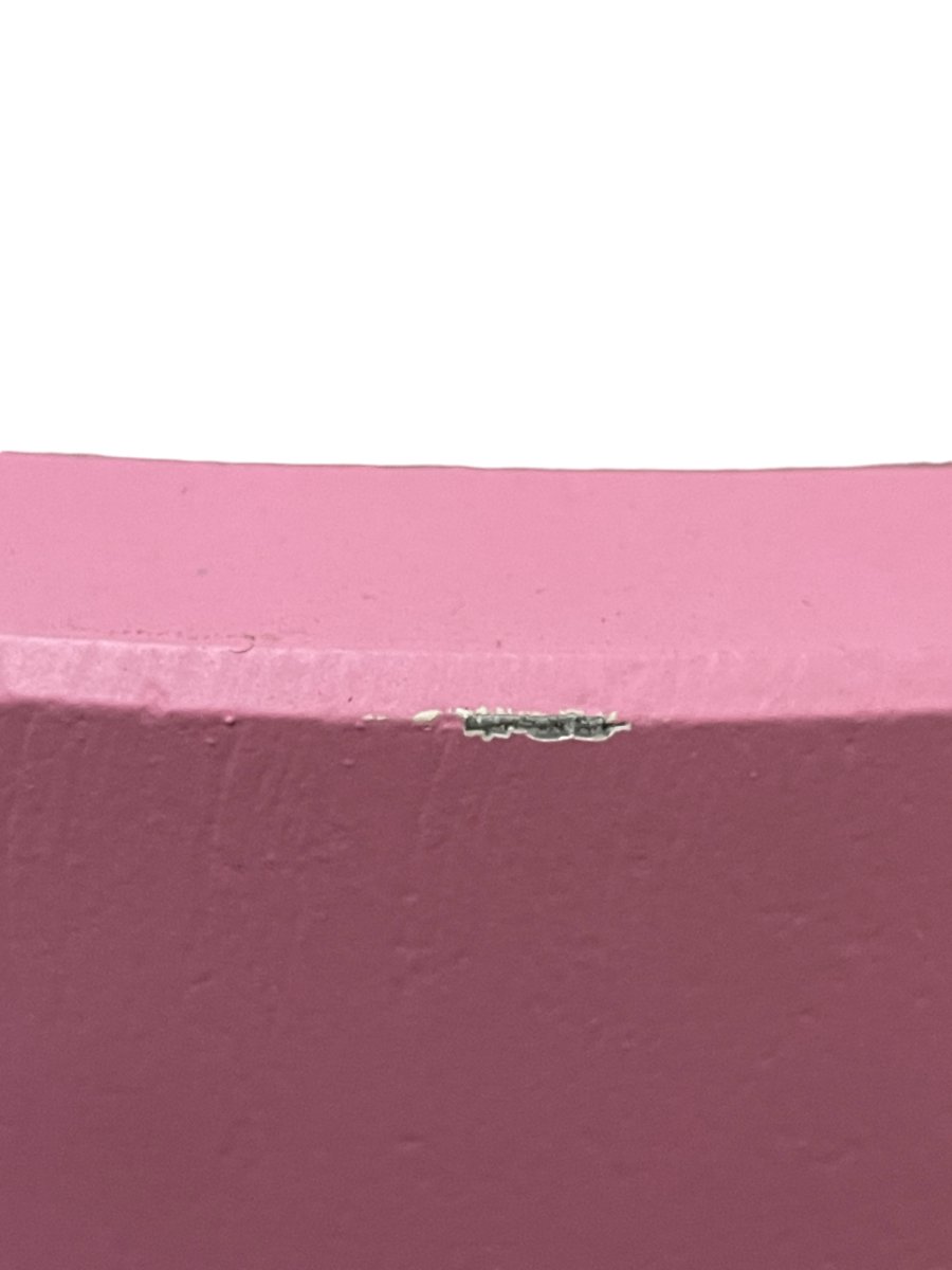 Second Chance: Wide Pot Pink - large - Pot - Tumbleweed Plants - Online Plant Delivery Singapore