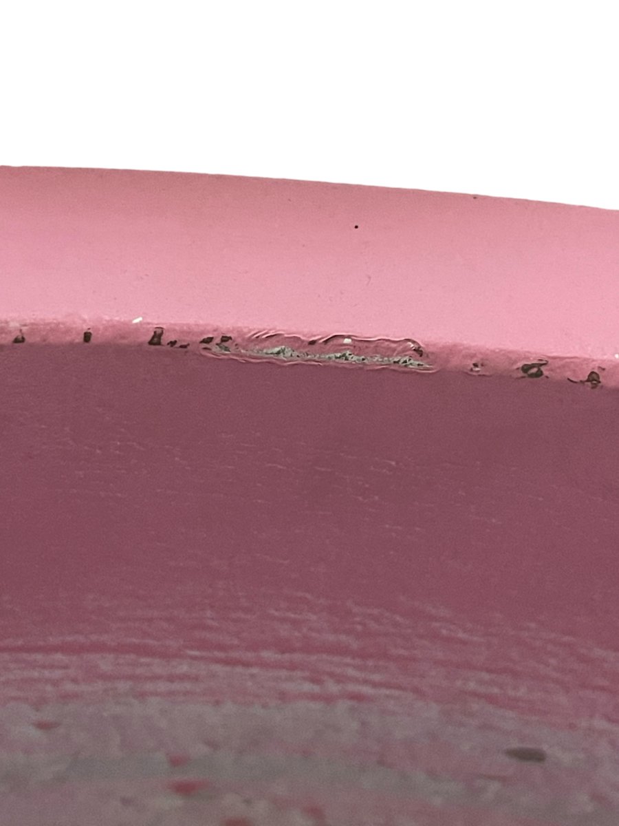 Second Chance: Wide Pot Pink - large - Pot - Tumbleweed Plants - Online Plant Delivery Singapore