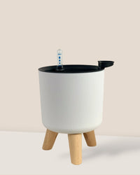 Small Self Watering Pot with Stand - white - Pot - Tumbleweed Plants - Online Plant Delivery Singapore