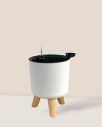 Small Self Watering Pot with Stand - white - Pot - Tumbleweed Plants - Online Plant Delivery Singapore
