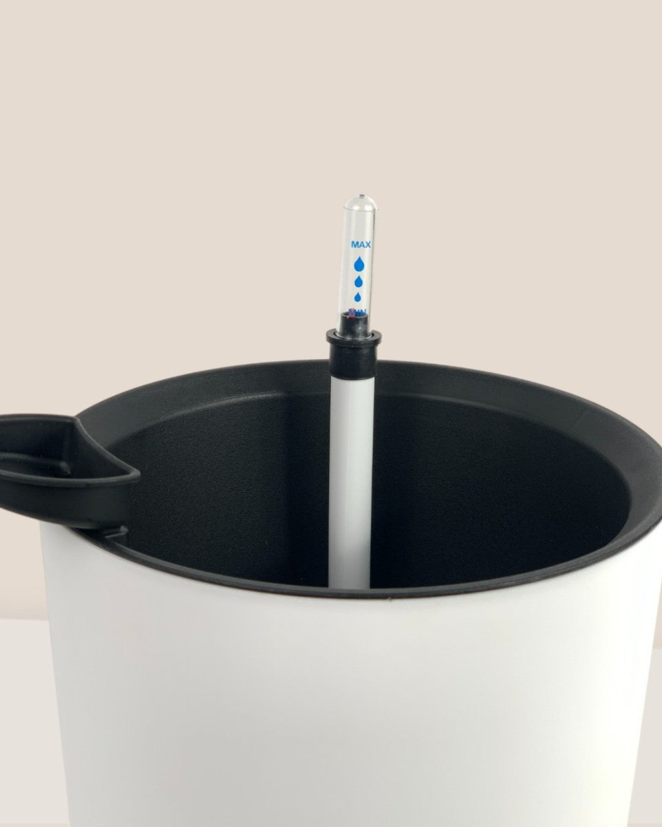 Small Self Watering Pot with Stand - white - Pot - Tumbleweed Plants - Online Plant Delivery Singapore