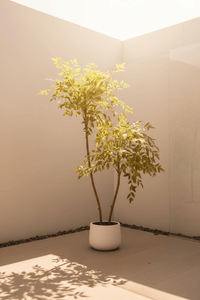 Southern Sky Bamboo (Life - like Artificial) - Potted plant - POTT - SOUT - GRW - 6853 - Tumbleweed Plants - Online Plant Delivery Singapore