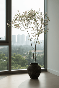 Island Tree - Real - Trunk Artificial - Potted plant - 5516314535781 - Tumbleweed Plants - Online Plant Delivery Singapore