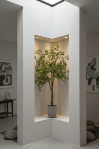 Elm Money Tree (Life - like Artificial) - Potted plant - 5300952242268 - Tumbleweed Plants - Online Plant Delivery Singapore