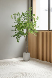 Elm Money Tree (Life - like Artificial) - Potted plant - 5300952242268 - Tumbleweed Plants - Online Plant Delivery Singapore