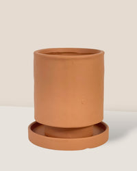 Tall Astra Pot (8.5cm) - brown - Pot - Tumbleweed Plants - Online Plant Delivery Singapore