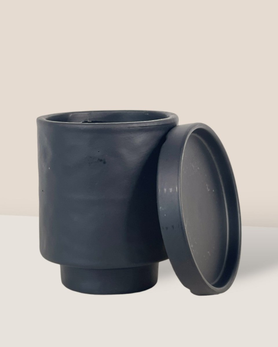 Tall Astra Pot (8.5cm) - black - Pot - Tumbleweed Plants - Online Plant Delivery Singapore