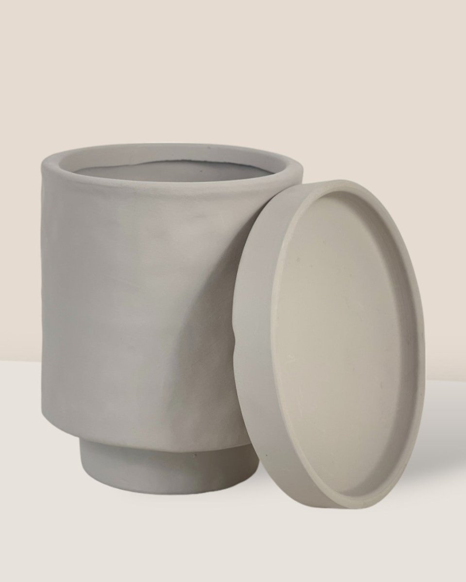 Tall Astra Pot (8.5cm) - grey - Pot - Tumbleweed Plants - Online Plant Delivery Singapore