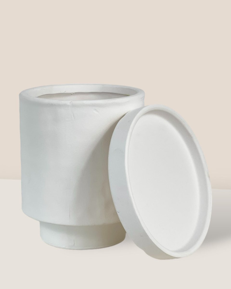 Tall Astra Pot (8.5cm) - white - Pot - Tumbleweed Plants - Online Plant Delivery Singapore