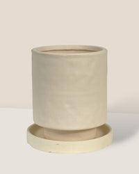 Tall Astra Pot (8.5cm) - cream - Pot - Tumbleweed Plants - Online Plant Delivery Singapore