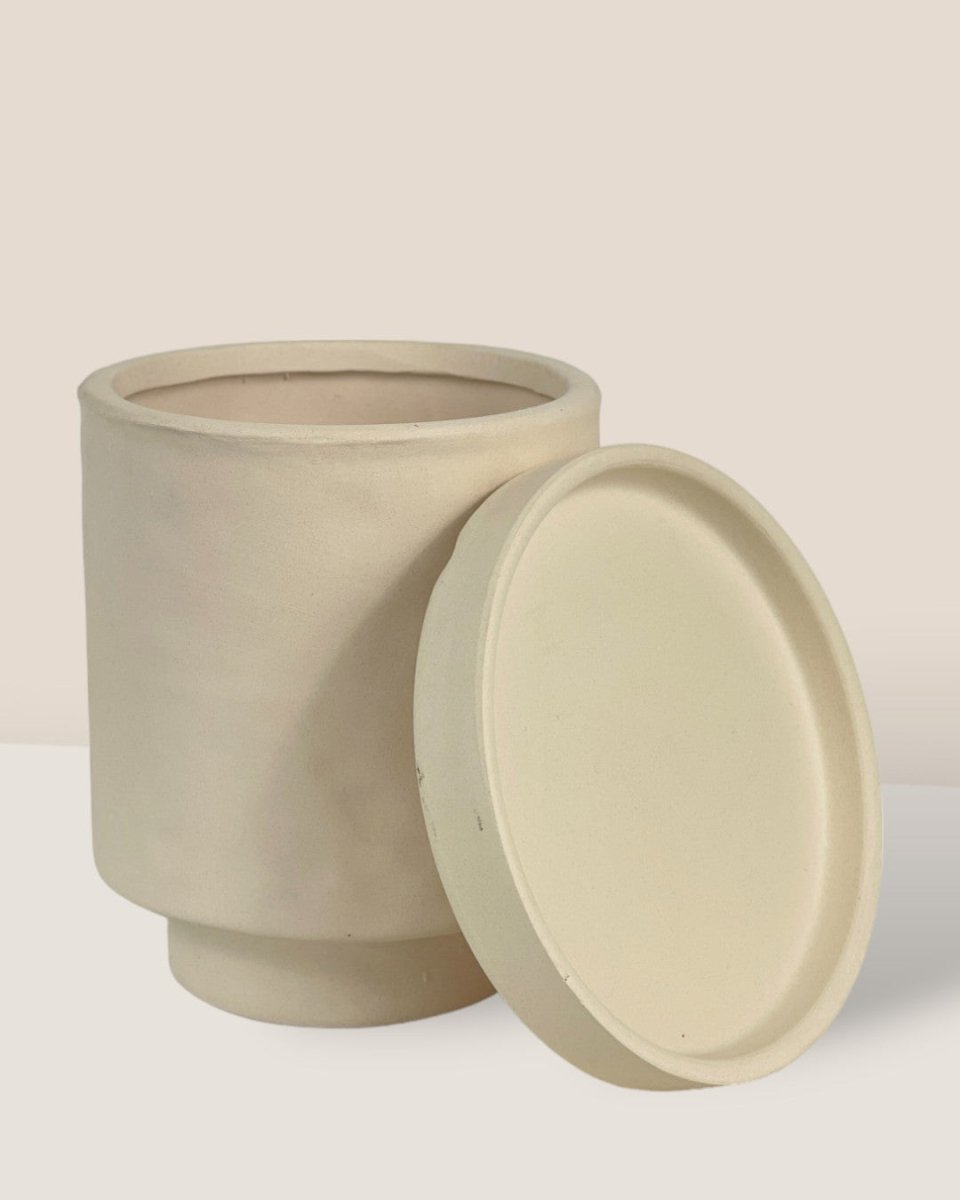 Tall Astra Pot (8.5cm) - cream - Pot - Tumbleweed Plants - Online Plant Delivery Singapore