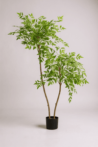 Southern Sky Bamboo (Life - like Artificial) - Potted plant - POTT - SOUT - GRW - 6853 - Tumbleweed Plants - Online Plant Delivery Singapore